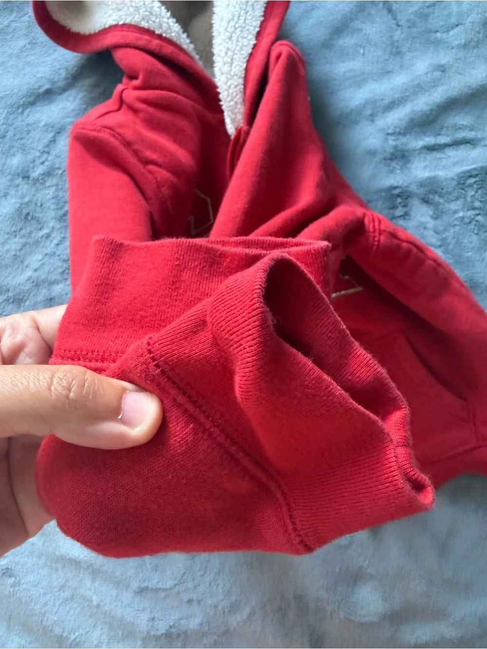 GAP Red Fleece Zip-Up Hoodie with Cream Sherpa Lining
